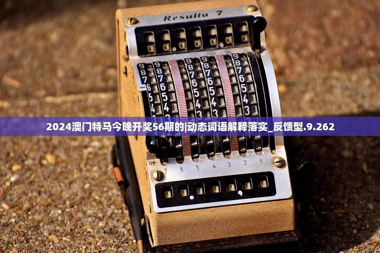 新澳精准资料免费提供网站|专家解析解释落实_研发版.7.410